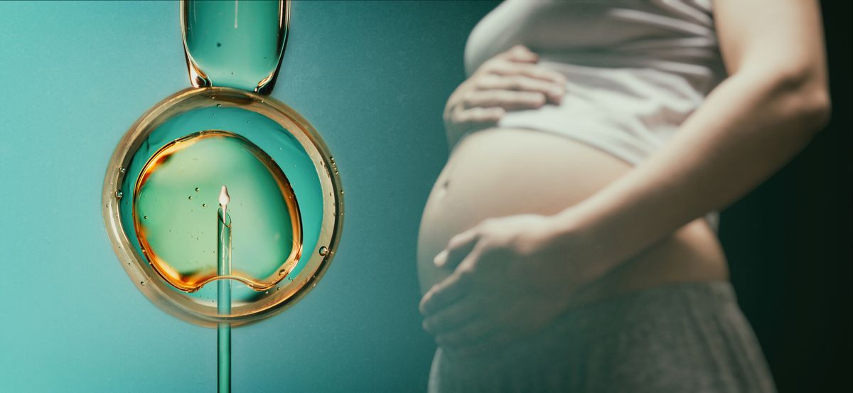 Breakthrough Embryo Test Could Improve The Odds For Thousands Undergoing IVF