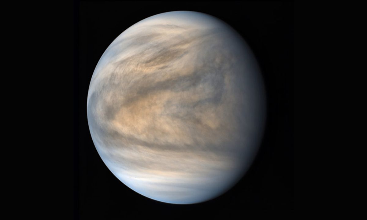 Building Blocks Of Life Survive In The Sulfuric Clouds Of Venus