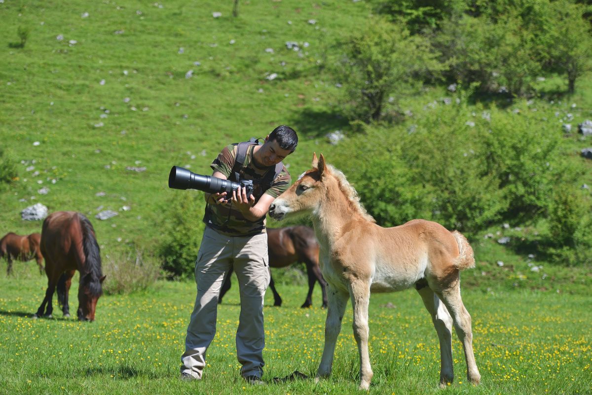 Humans Make The Animal Sounds In Most Nature Documentaries – How And Why?