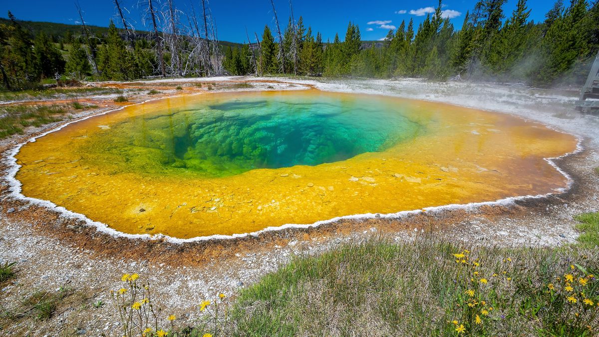 Key Molecules To Origins Of Life May Have Been Bubbling Away In Ancient Hot Springs On Primordial Earth
