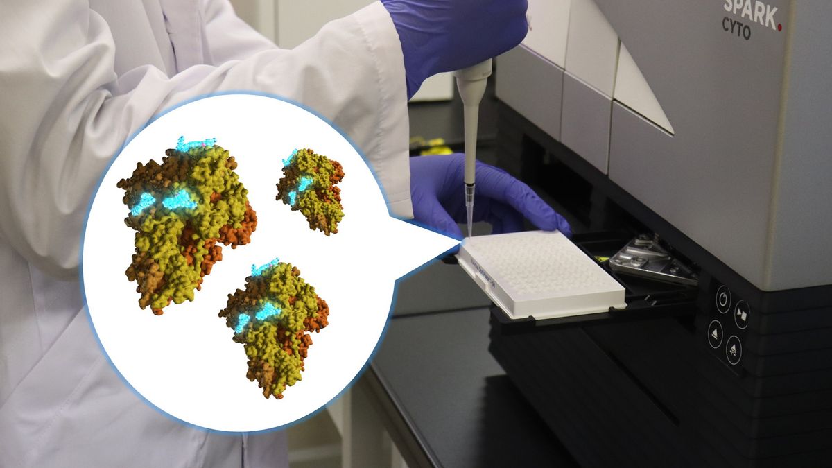 New COVID-19 Test Prototype Glows (Literally)‚ With Accurate Results In Just 1 Minute