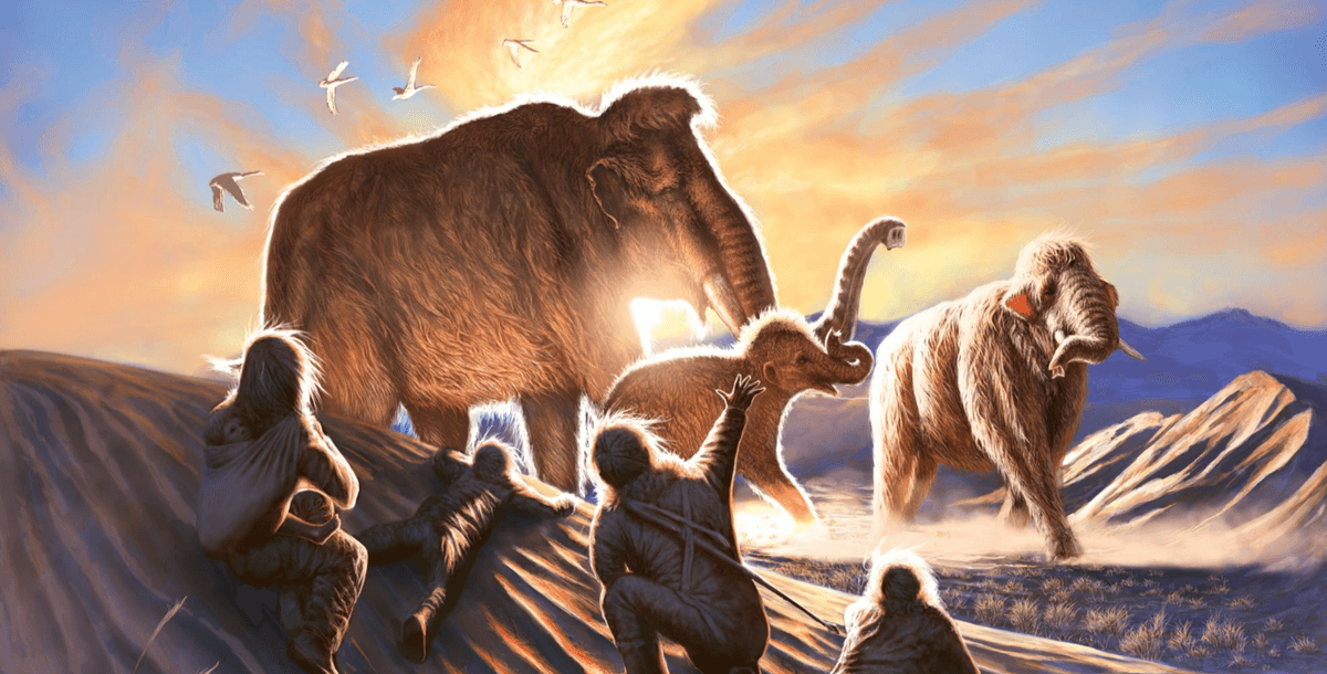 Tusk Tells The Tale Of Huge Journey Made By A Woolly Mammoth 14‚000 Years Ago