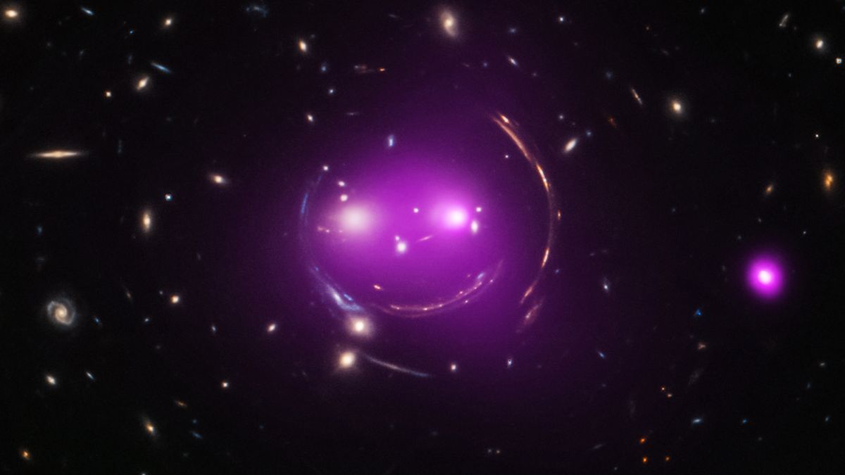 What Is The Cheshire Cat Effect? That Depends On Which One You Mean