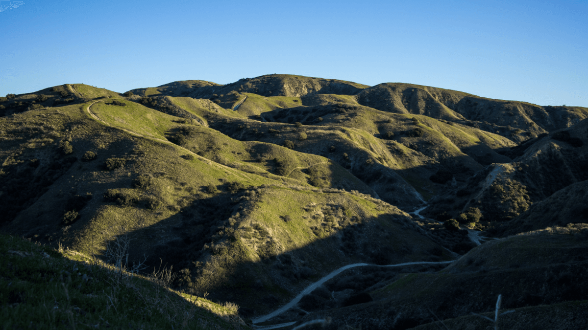 Loma Linda Blue Zone: Why Do People There Live So Much Longer?