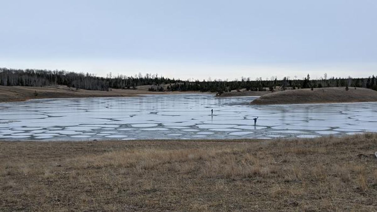 Where Was The Cradle Of Life? Perhaps It Was A Shallow Warm Soda Lake
