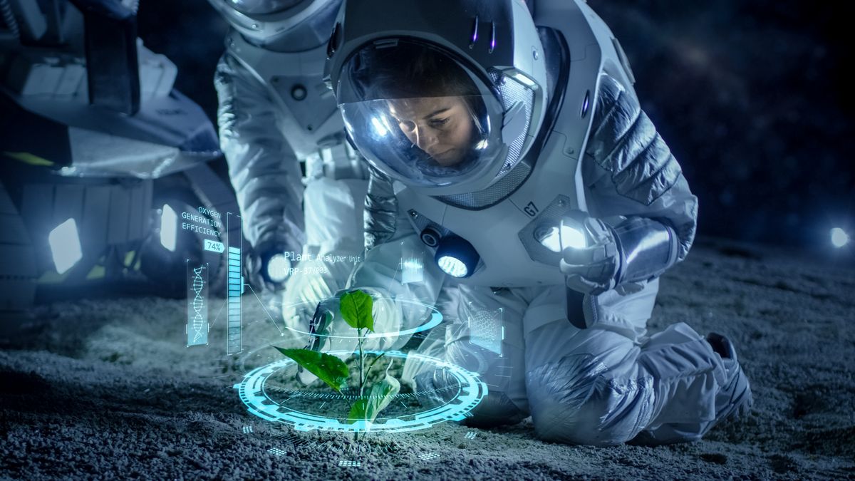 Chickpeas Grown In Replica Lunar Soil With Help From Worms And Fungus