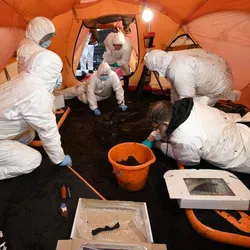 Six people in white forensic suits and masks are huddled around a hole in the earth as they excavate the human remains. The whole space is enclosed within an orang tent. There are other objects in the image, including an organ bucket that is nearly in the centre of the shot, as well as square shallow boxes that are being used to hold bone fragments. 