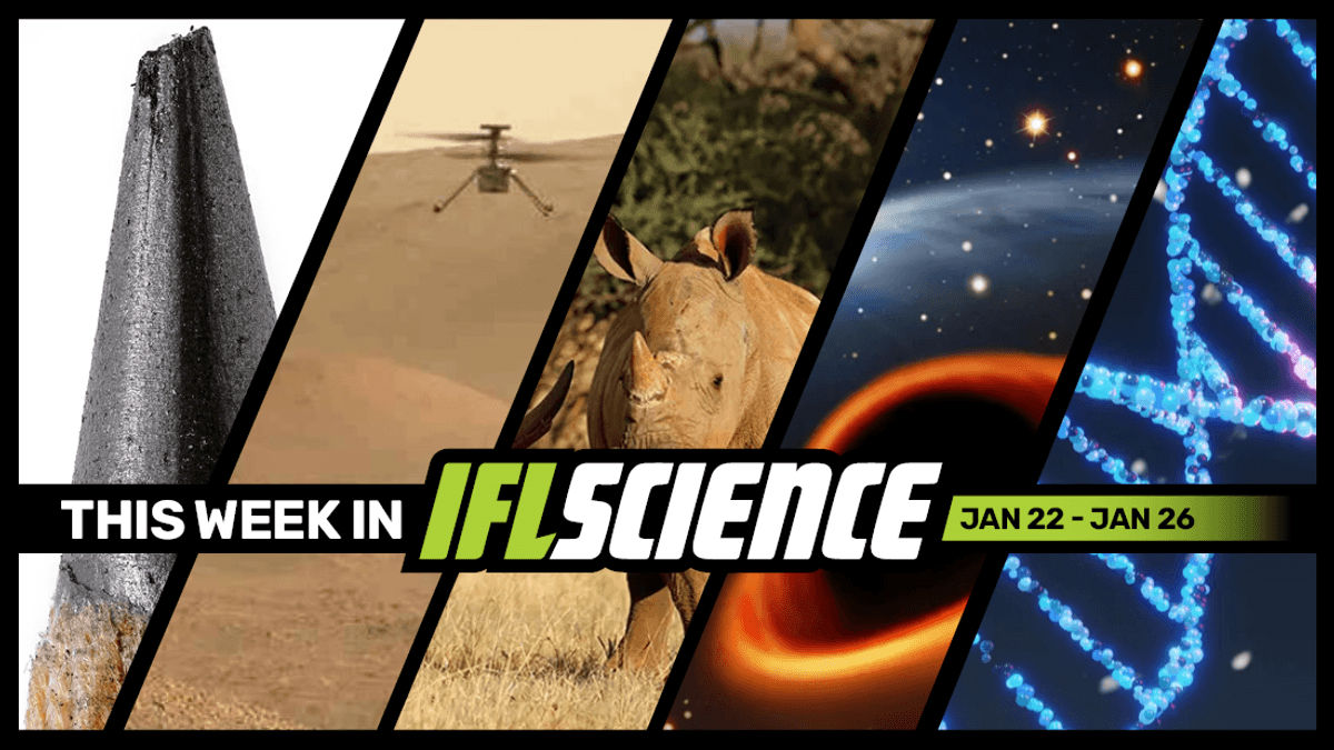 Room Temperature Superconductor Properties Found In Graphite‚ World’s First IVF Rhino Pregnancy‚ And Much More This Week