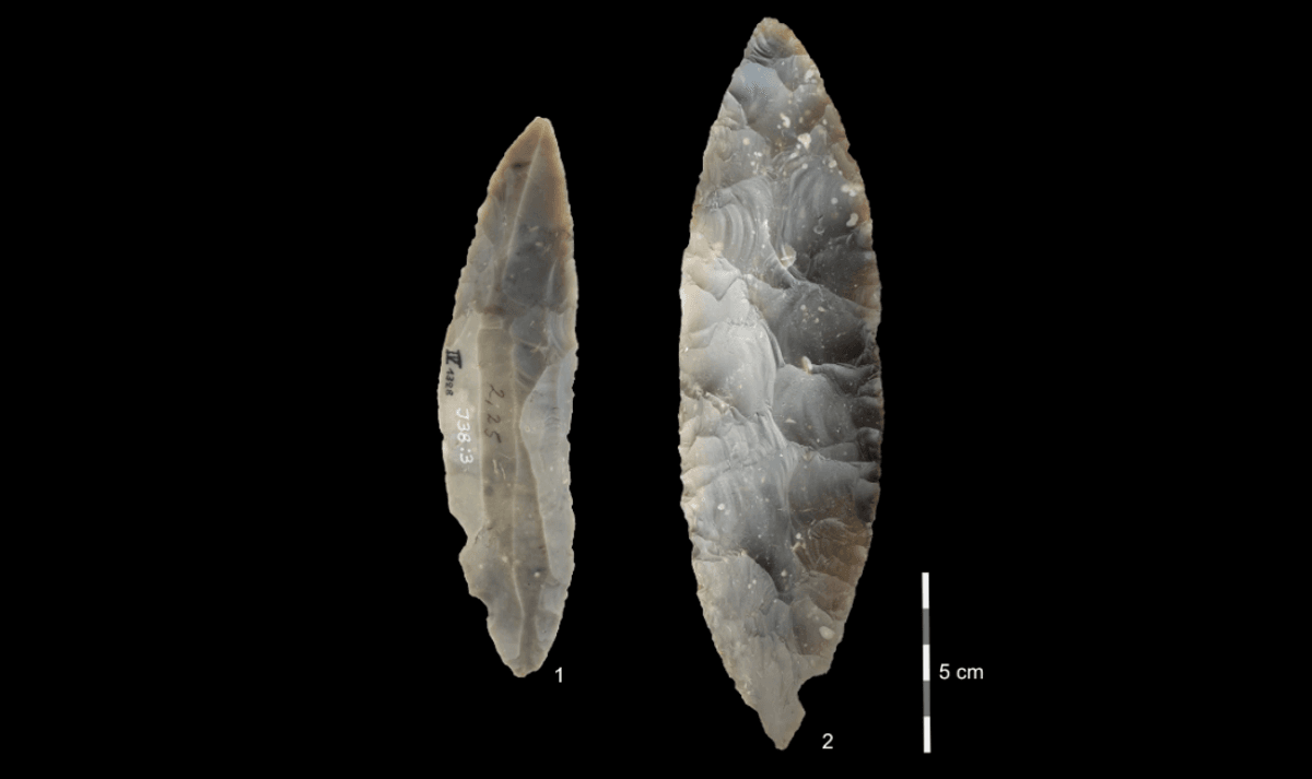 Oldest Homo Sapiens Discovery In Northern Europe Proves Long Overlap With Neanderthals