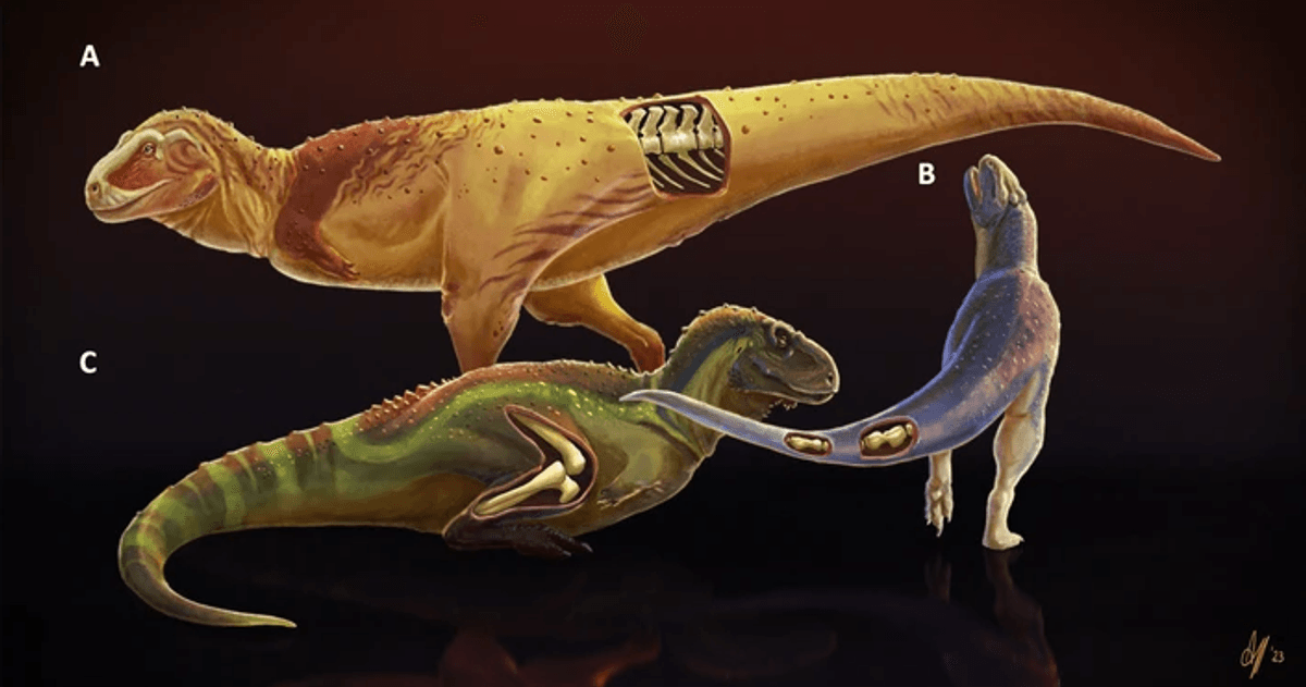 Some Dinosaurs May Have Had Arthritis 90 Million Years Ago