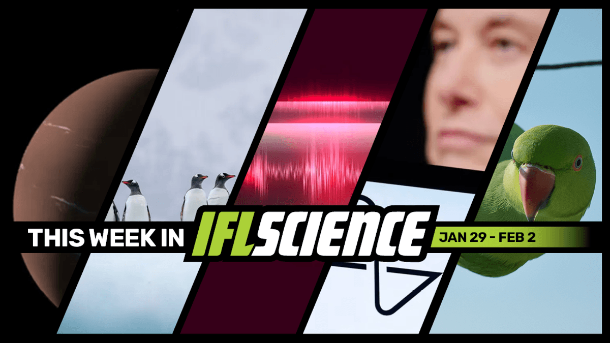 Nearby Super-Earth Discovered In A True Habitable Zone‚ Musk’s Neuralink Implants First Brain Chip In Humans‚ And Much More This Week