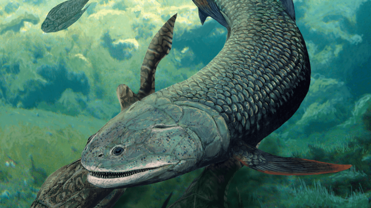 380-Million-Year-Old Fanged Fish Found In One Of The World’s Oldest Lakes