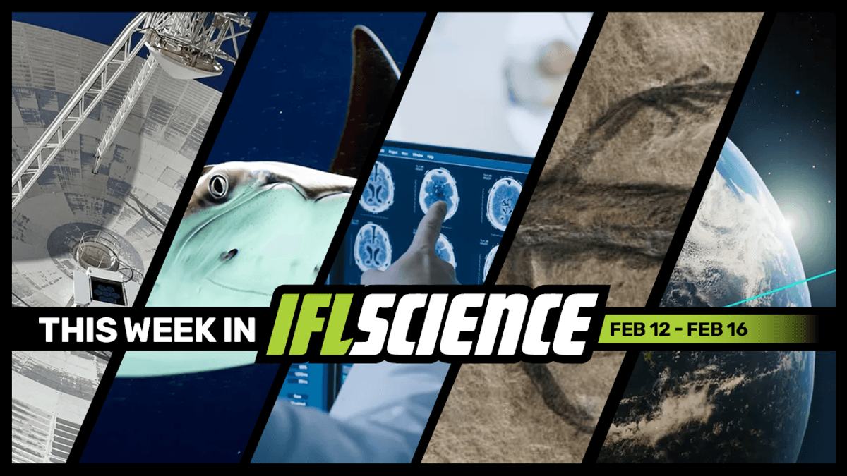 NASA Received Laser And Radio Messages From Even Deeper Space‚ 13-Year-Old Boy Cured Of Terminal Brain Tumor‚ And Much More This Week