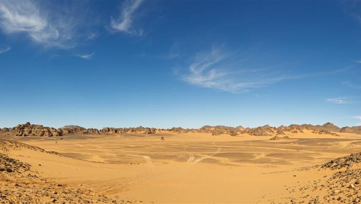 Tranny jinsiy aloqa film