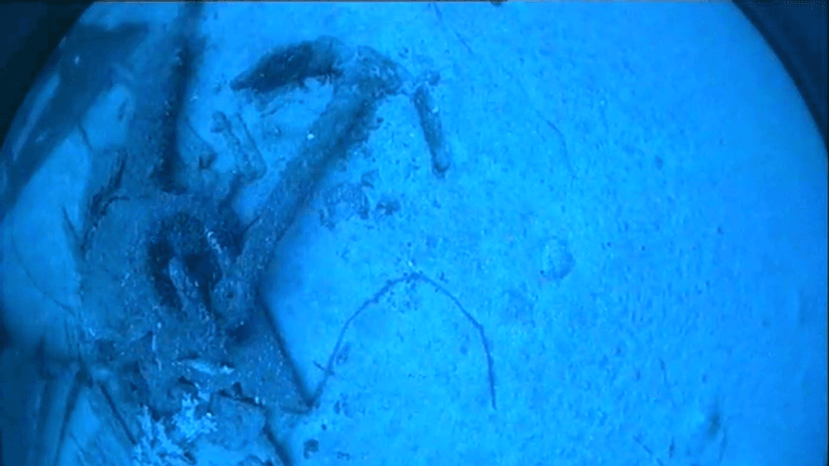 SS Nemesis: Ship Lost Over A Century Ago Found On Edge Of Continental Shelf