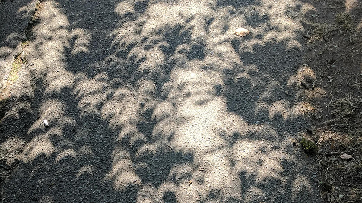 Eclipse Shadows L