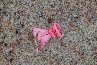 Pink balloon washed up on the beach