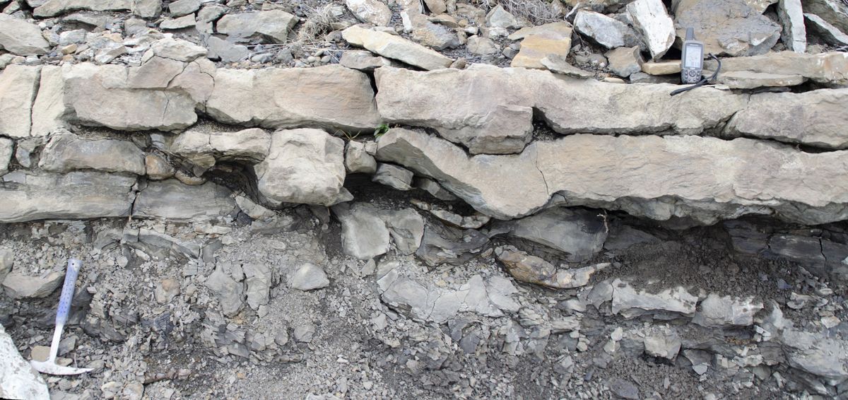 Fossil Tracks Reveal Dinosaurs Stomping Around Alaska 100 Million Years Ago