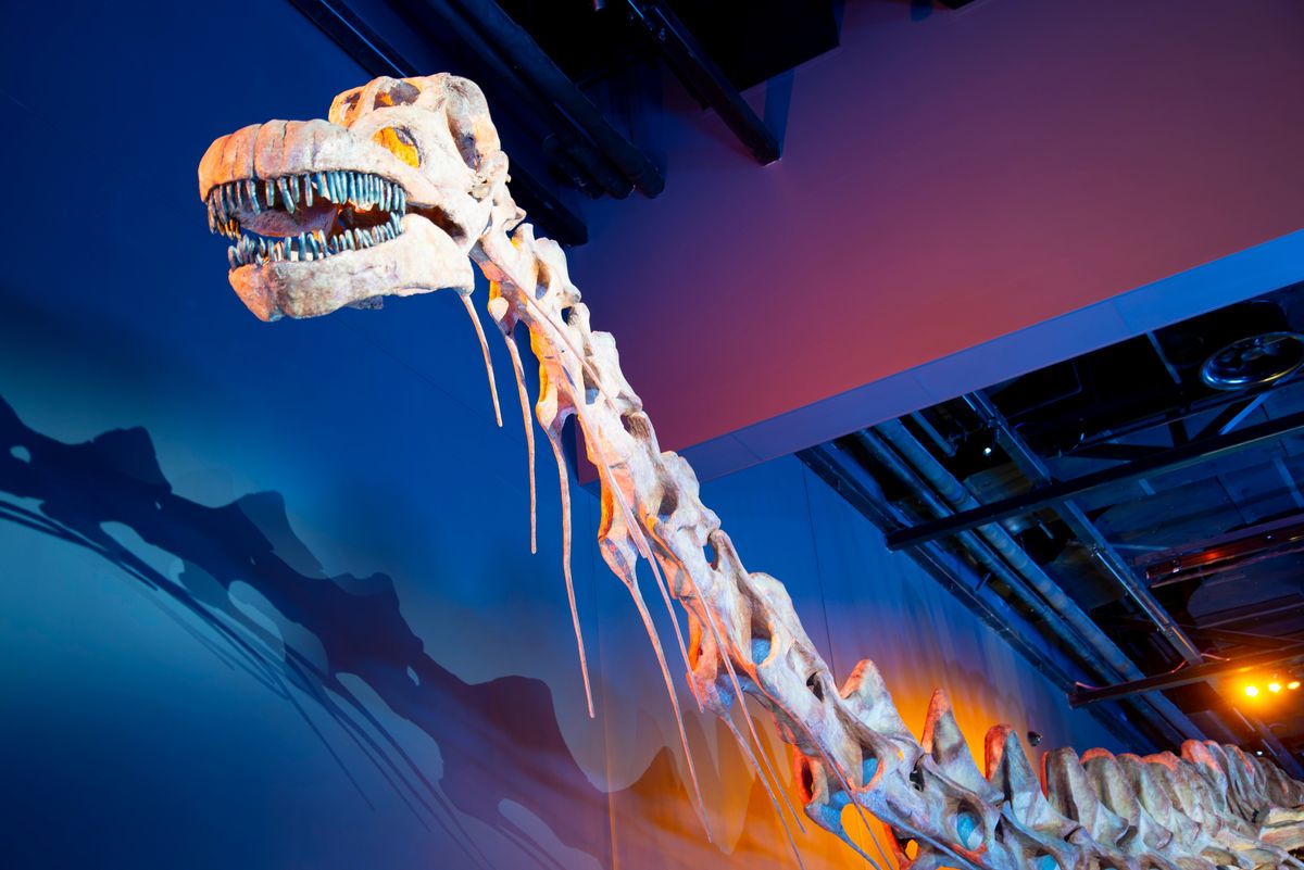 The Largest Land Animal To Ever Live Roamed Across All Seven Continents