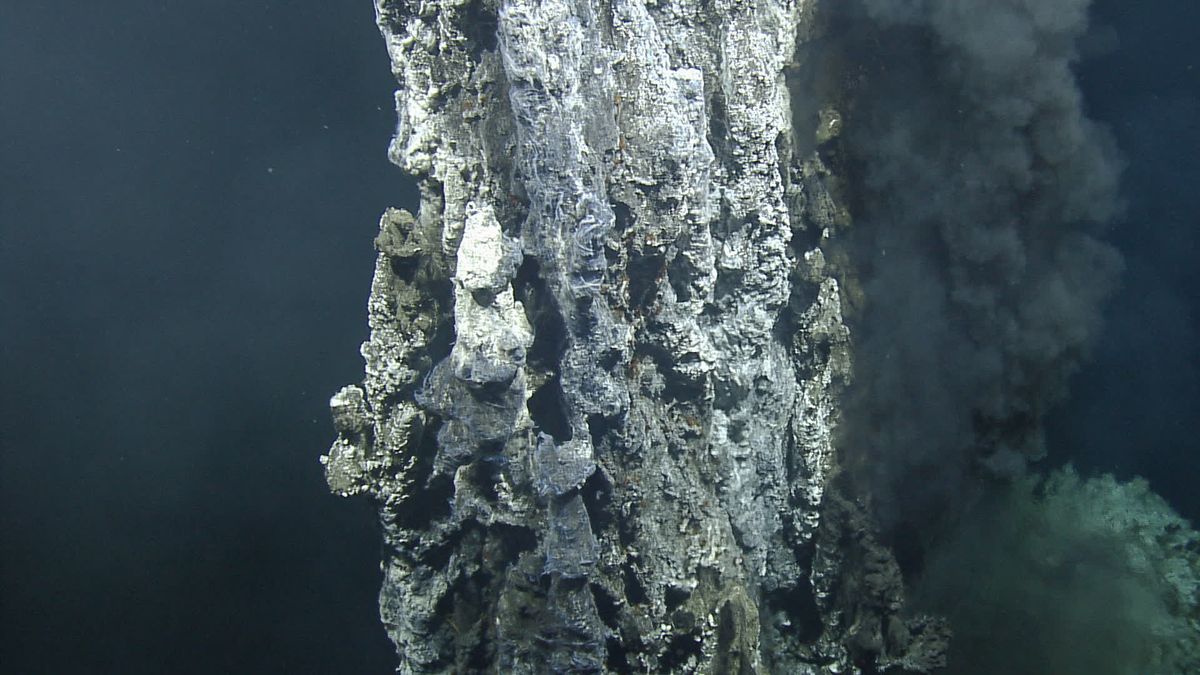 Intense Seismic Shakes Off Canada's Coast May Be Forming New Seafloor