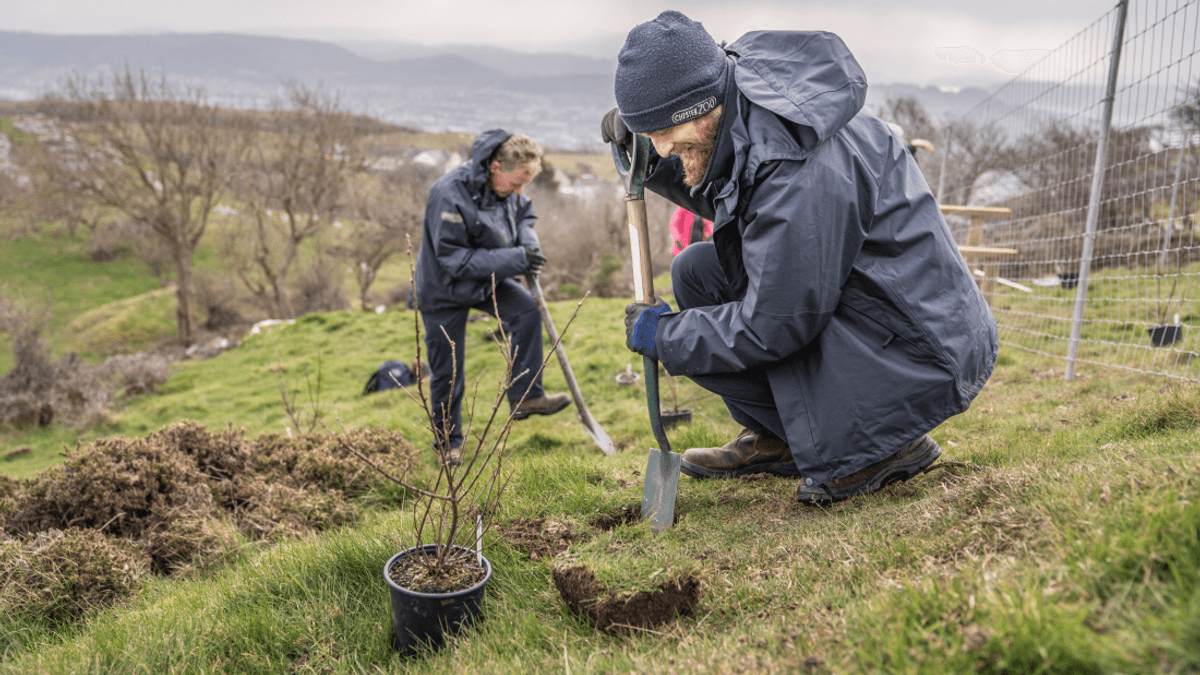 One Of The World’s Rarest Plants Has Been Reintroduced To A Secret Site In The Wild