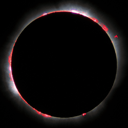 Solar prominences seen during the last total eclipse of the last millennium, as seen from France.