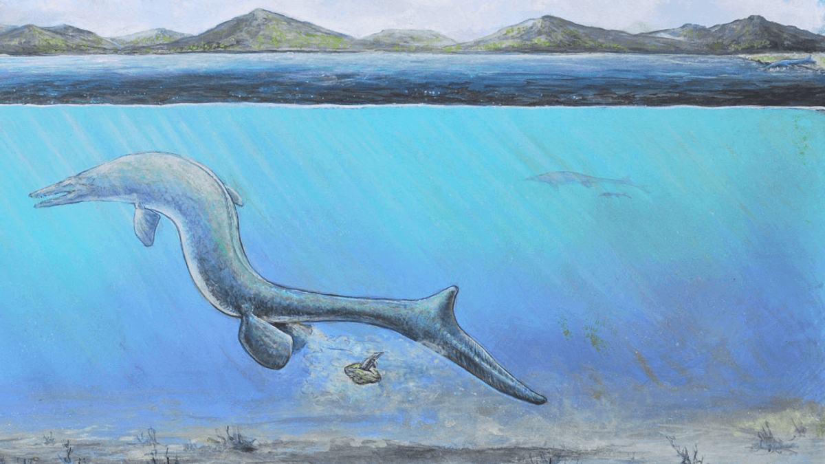 66-Million-Year-Old “The Thing” Is A Close Second For World’s Largest Egg