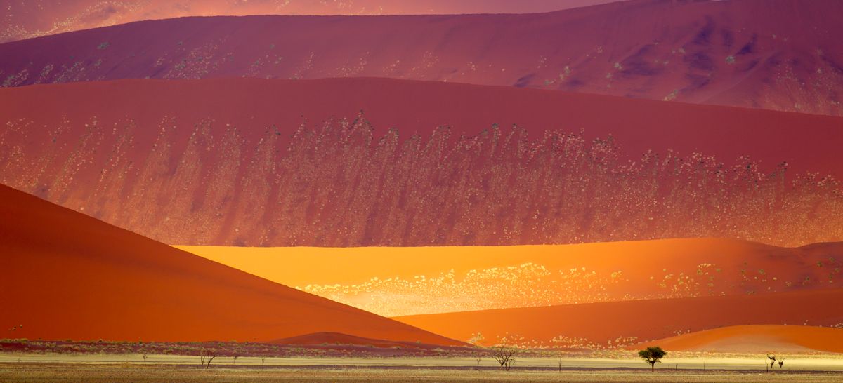 The Oldest Desert On Earth Is Home To 