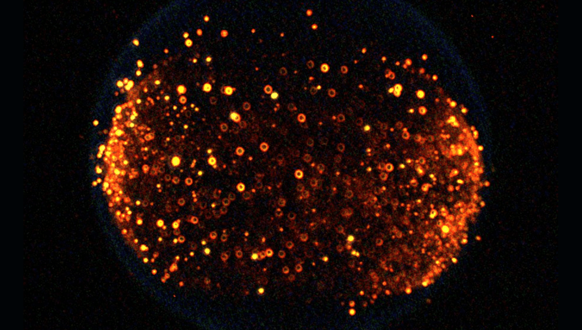 What Happens To Fire In Microgravity Environments? | IFLScience