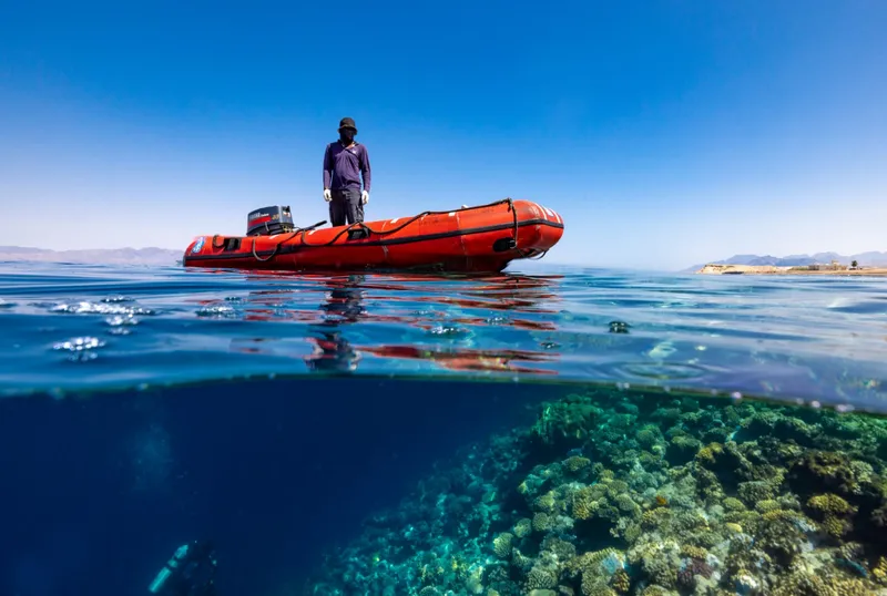 Reefs in the Red Sea stop just shy of the water’s surface close to shore. 