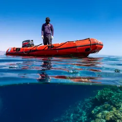 Reefs in the Red Sea stop just shy of the water’s surface close to shore. 