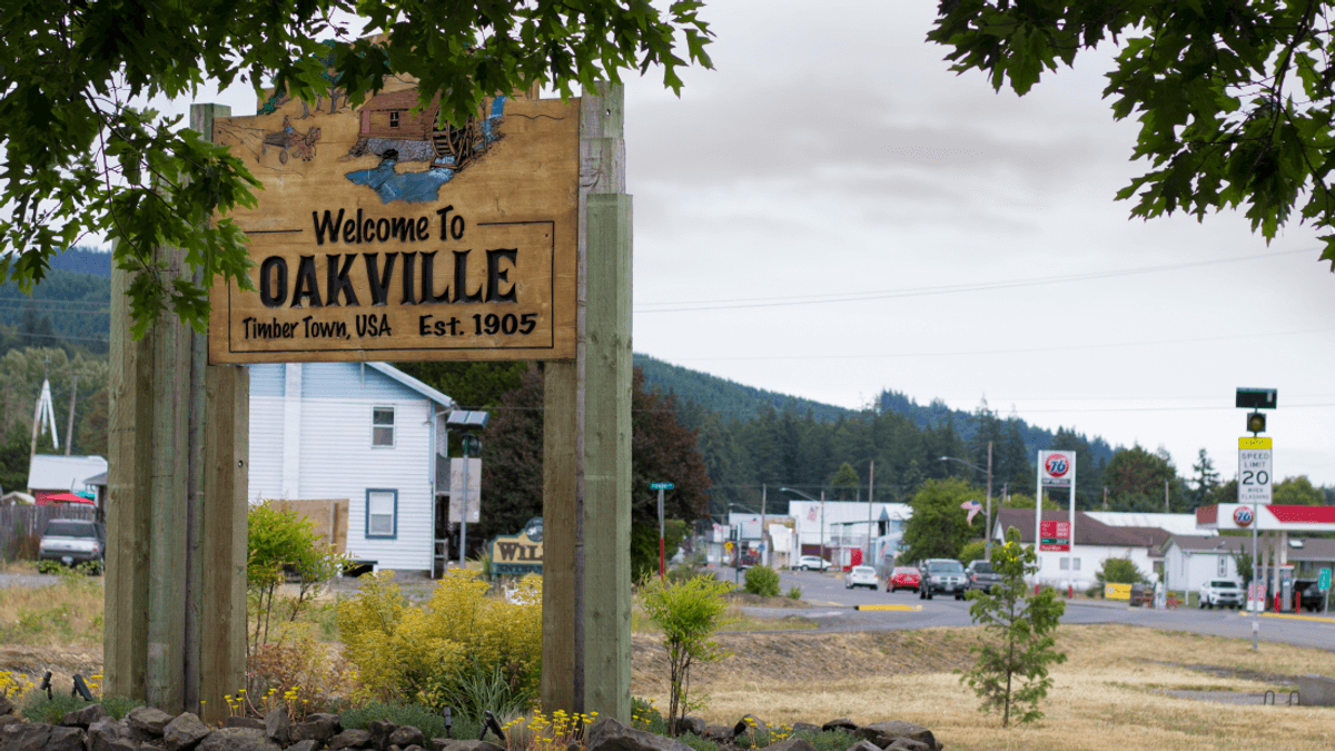 Oakville Blobs: In 1994‚ Mysterious Gelatinous Goo Rained Down On Washington