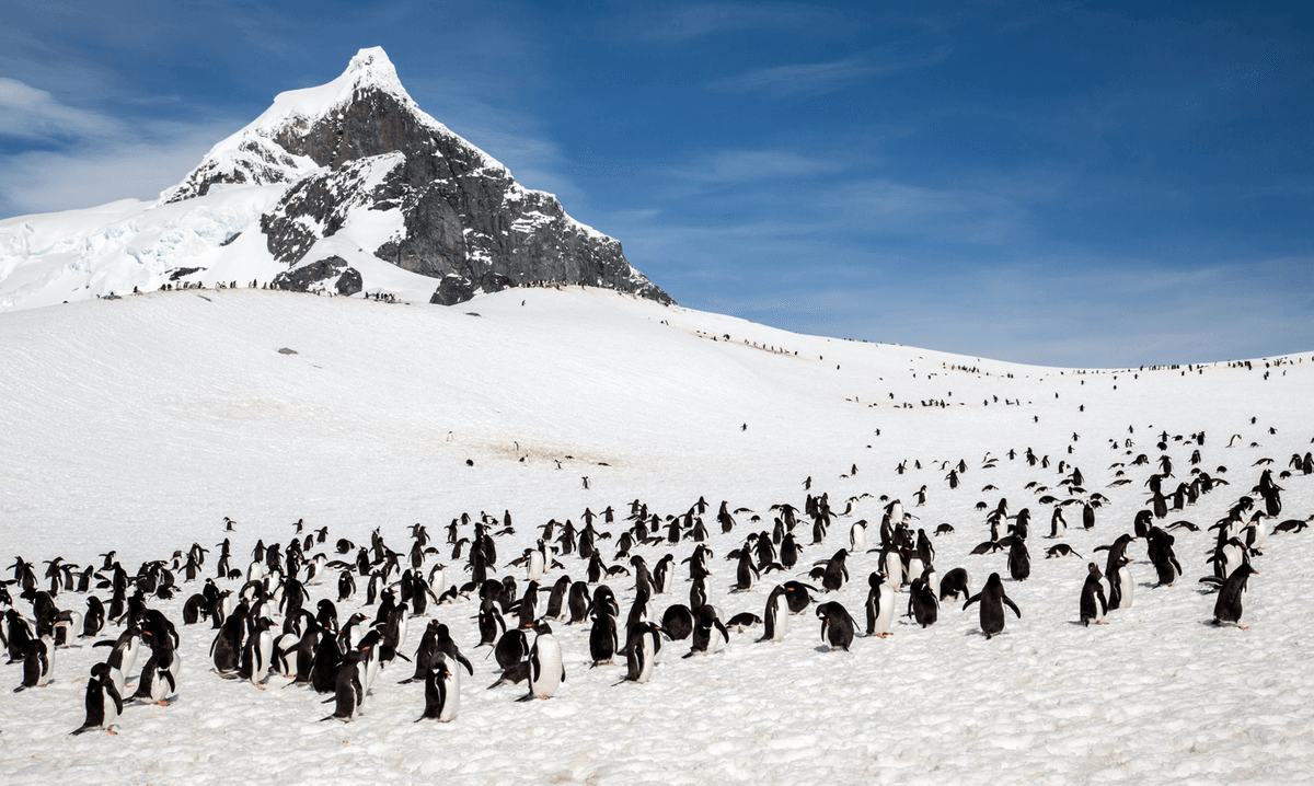 Why Antarctica Is A Desert
