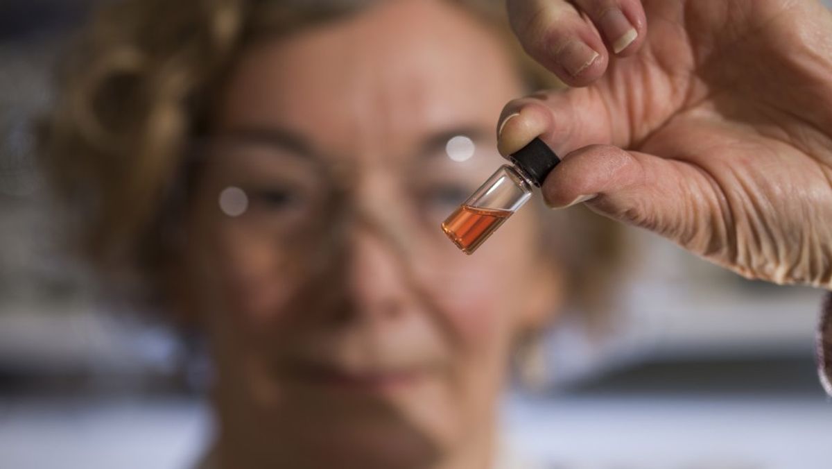 The Oldest Colored Molecules On Earth Are Bright Pink