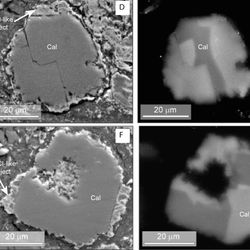 Carbonate grains from the Winchcombe meteorite showing its extreme diversity, revealing highly varied composition, but mostly with carbonate origins.