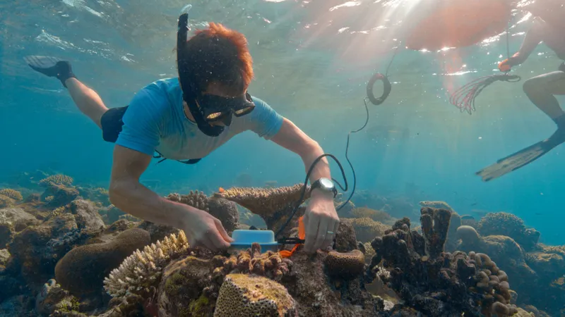 Professor Steve Simpson coral research