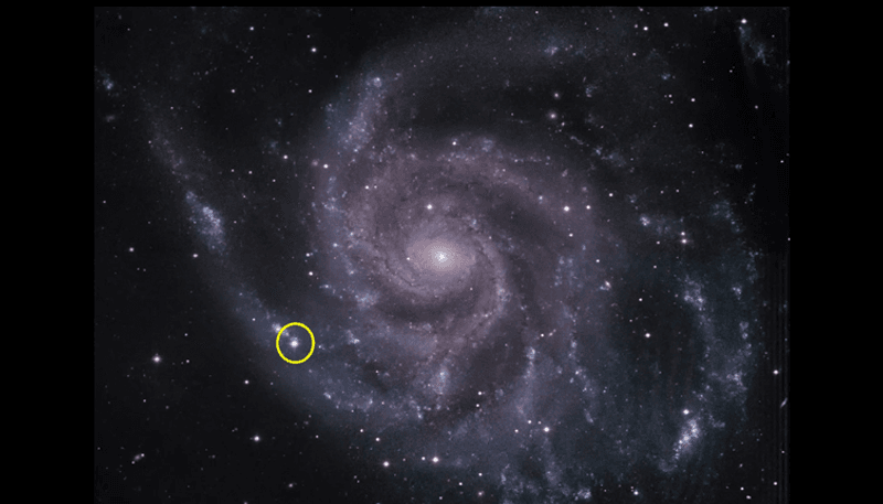 The Pinwheel Galaxy with the supernova SN 2023ixf in the spiral arm circled