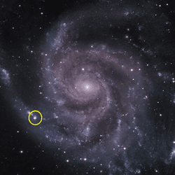 The Pinwheel Galaxy with the supernova SN 2023ixf in the spiral arm circled