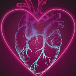 洋楽 SHAPE OF HEART, SHAPE OF HUMAN my-heart-t.webp
