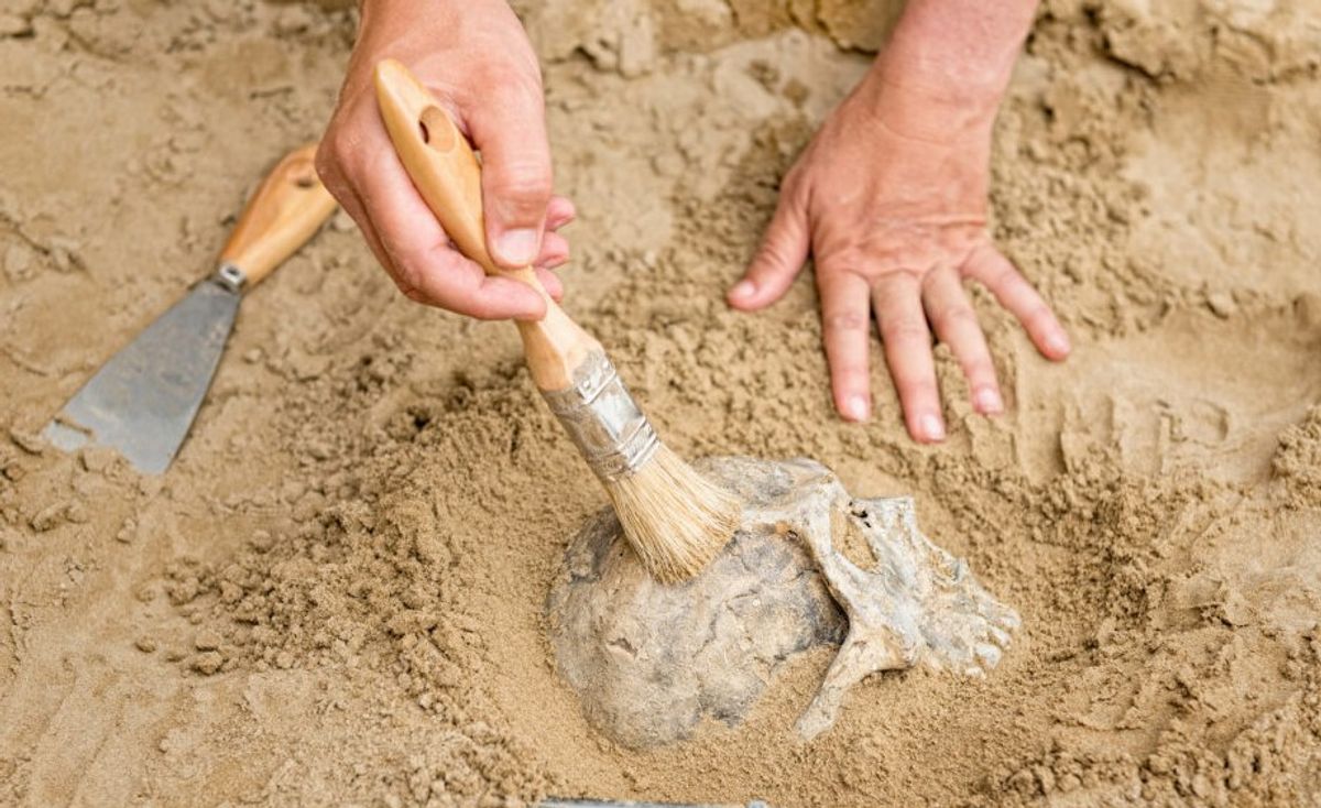 How A Human-Neanderthal Hybrid Child Rewrote Human History