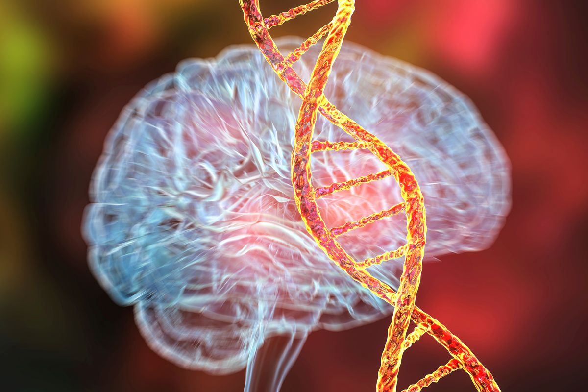 Alzheimer's Disease Risk Gene Could Actually Be Behind A "Distinct Genetic Form"