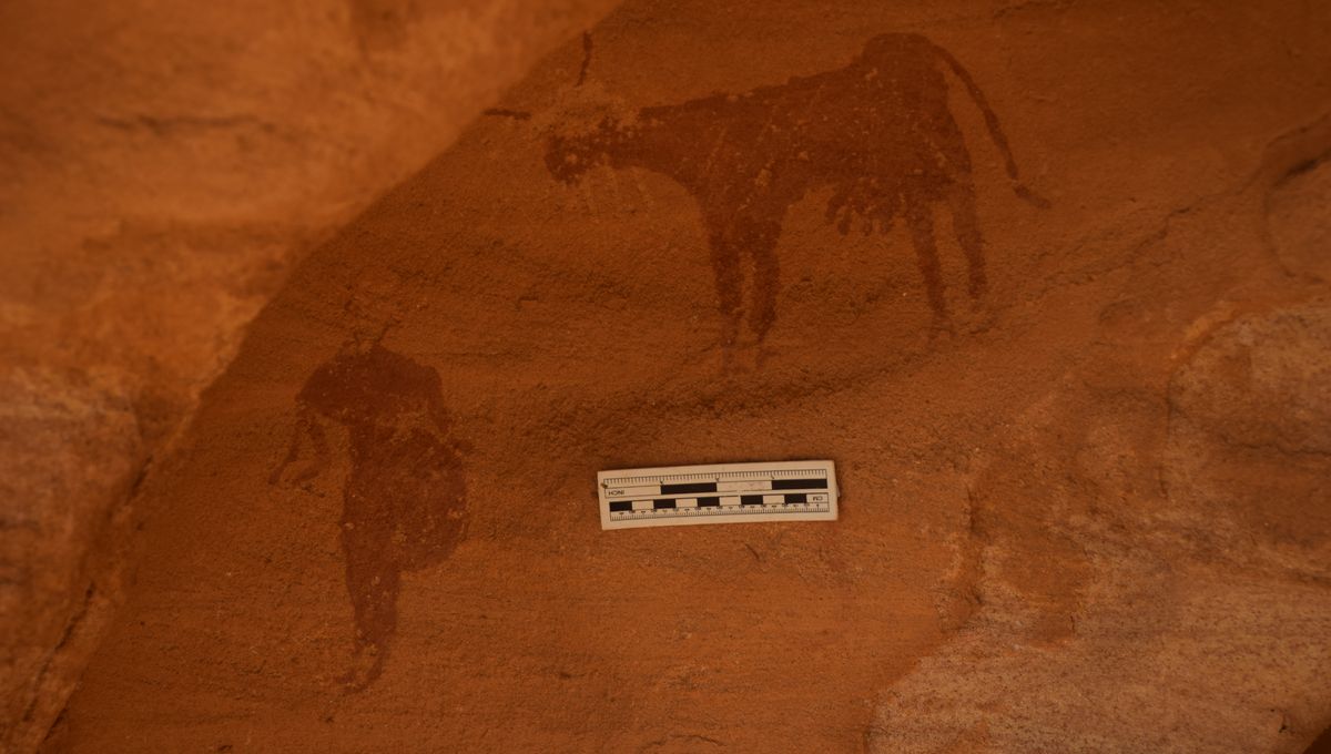 高級素材使用ブランド New Discovered Rock Art Shows The Sahara Was A Radically 絵画