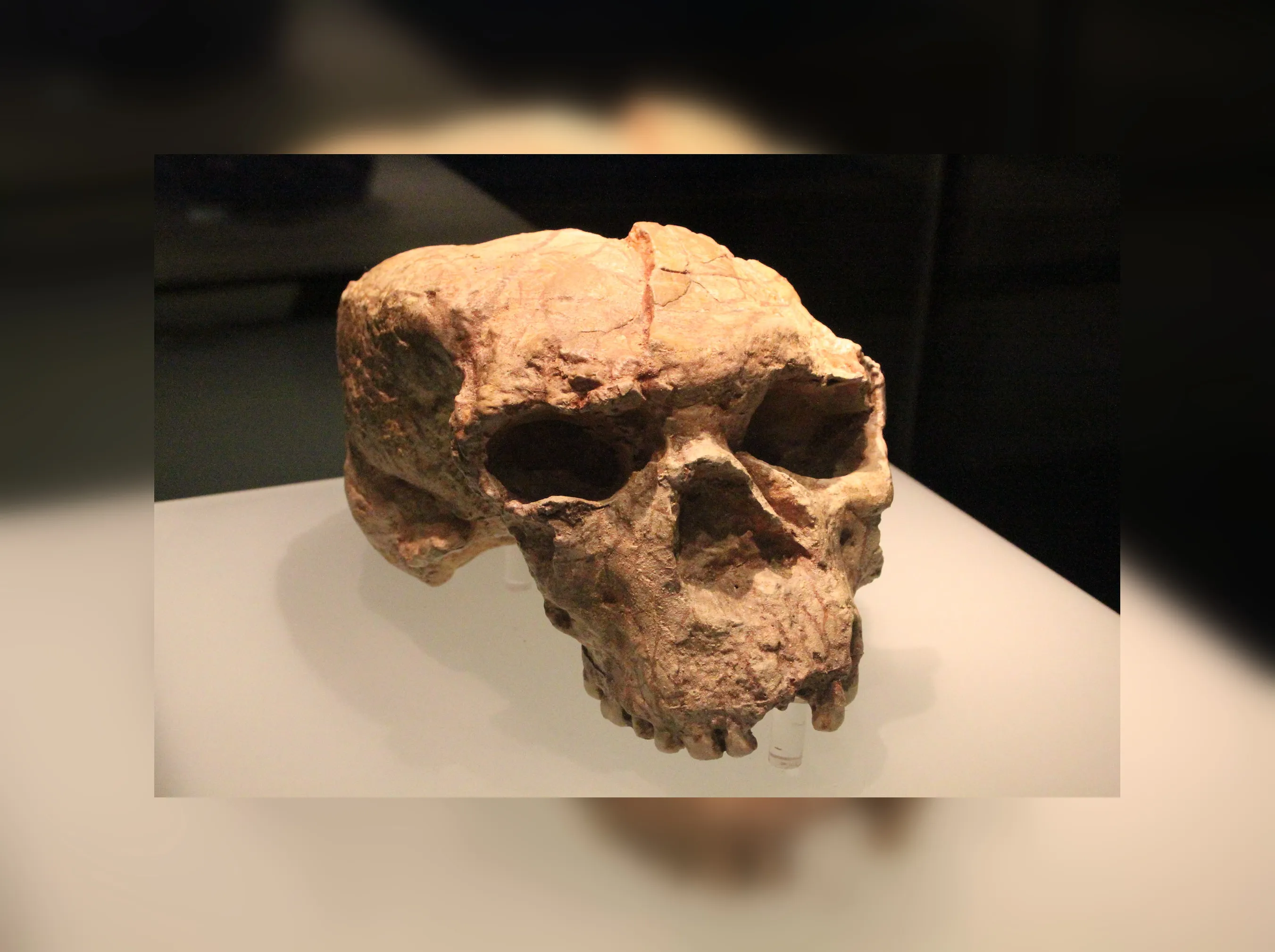 転換期の日本考古学 = THE ARCHAEOLOGY OF JAPAN DU… 転換期の日本考古学―1945～1965文献解題ー | 「雄山閣」学術専門