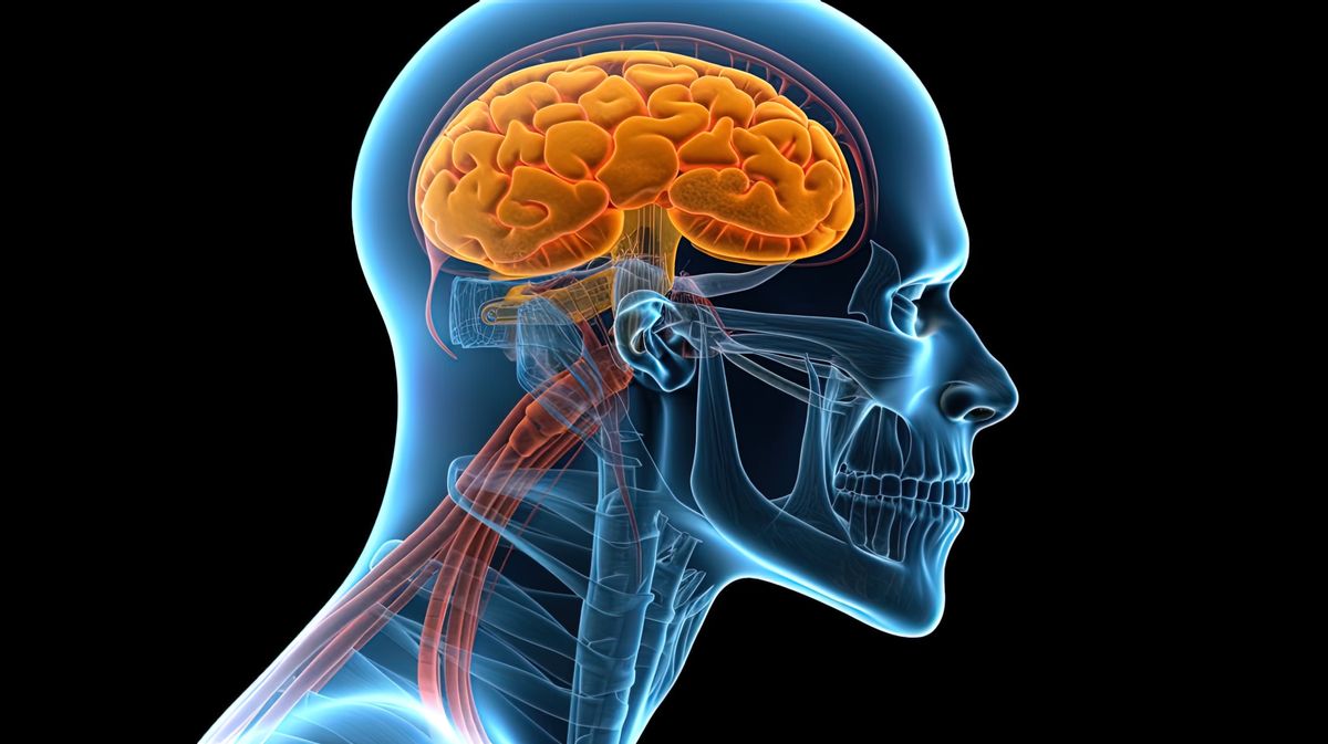 Hair-Raising Human Head Transplant Machine Concept Unveiled By Startup – But Is It Realistic?