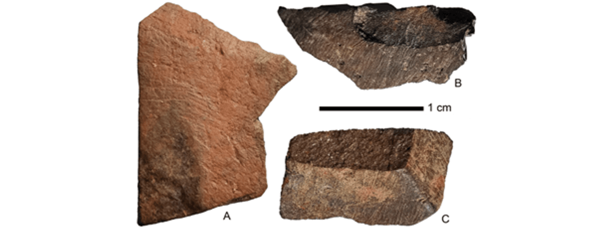 Timor Cave Discredits Once-Favored Explanation For How People Reached Australia