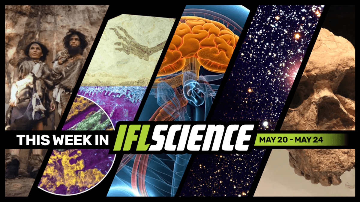 We Now Know When Humans And Neanderthals Hooked Up, Human Head Transplant Machine Concept Unveiled By Startup, And Much More This Week