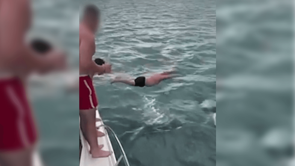 Apparently We Have To Say This But Do NOT Try And “Body Slam” An Orca