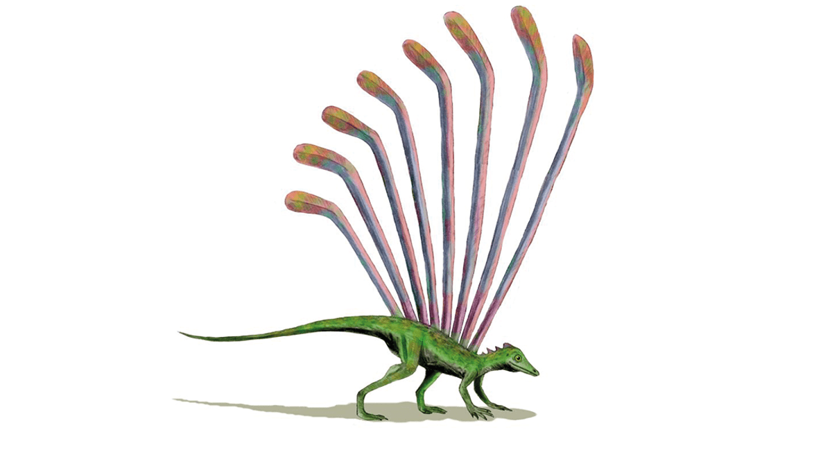 This Ridiculous Reptile's Hockey-Themed Decor Might Change What We Know About Feather Evolution