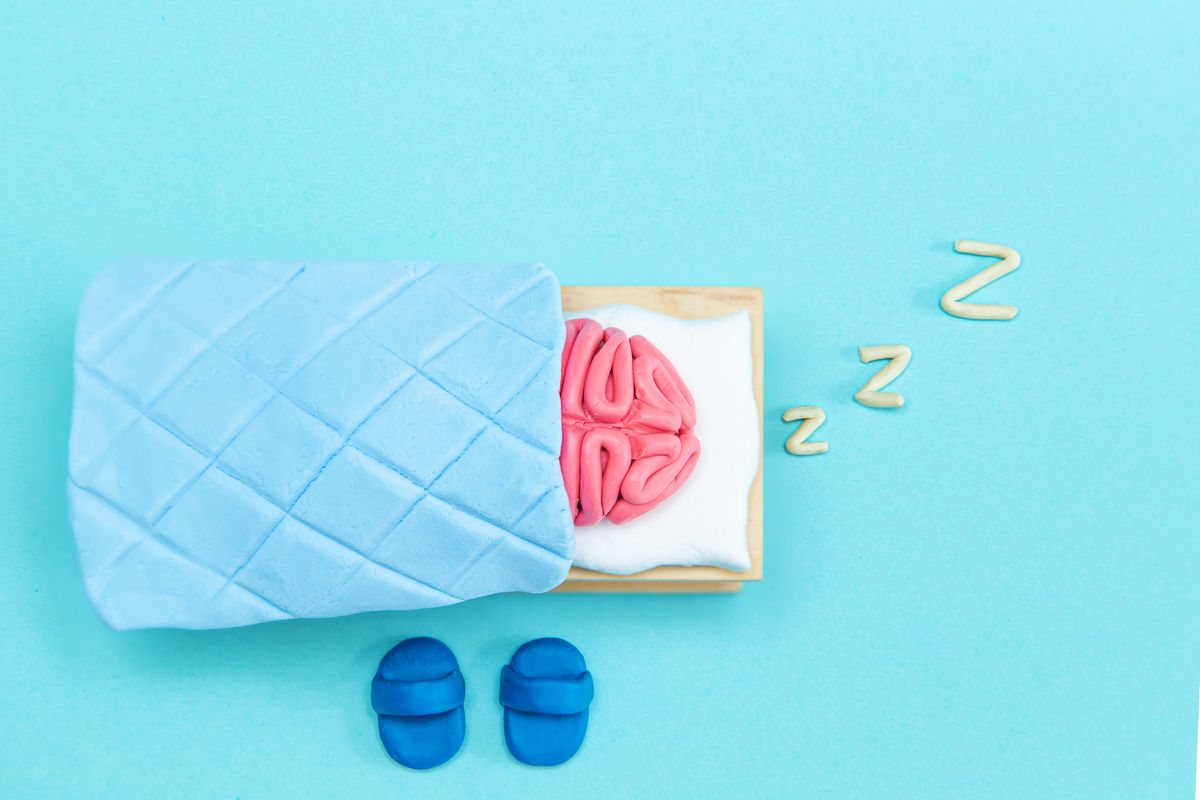 Does Sleep “Clean” The Brain Of Toxins? A New Study Has Sparked Controversy