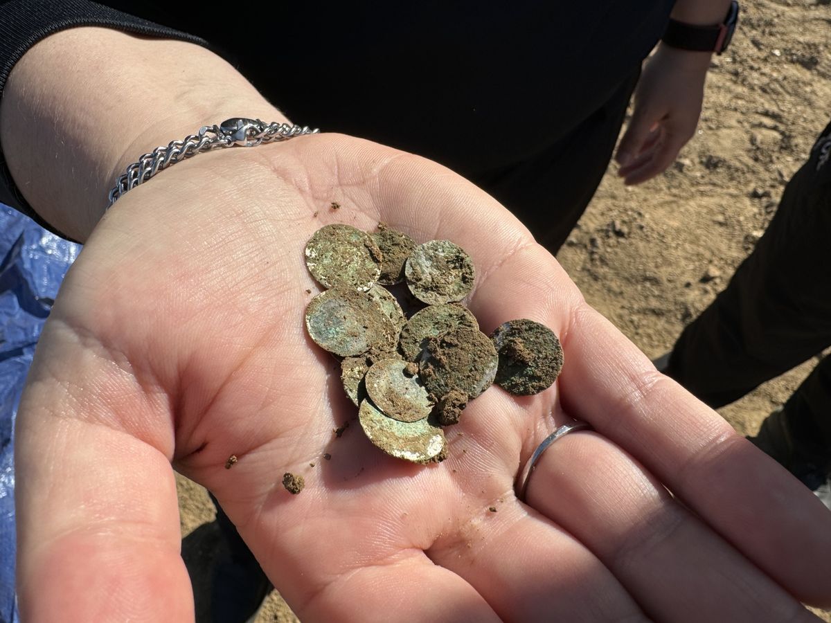 Woman Goes For A Walk And Accidentally Discovers Huge 900-Year-Old Treasure Trove